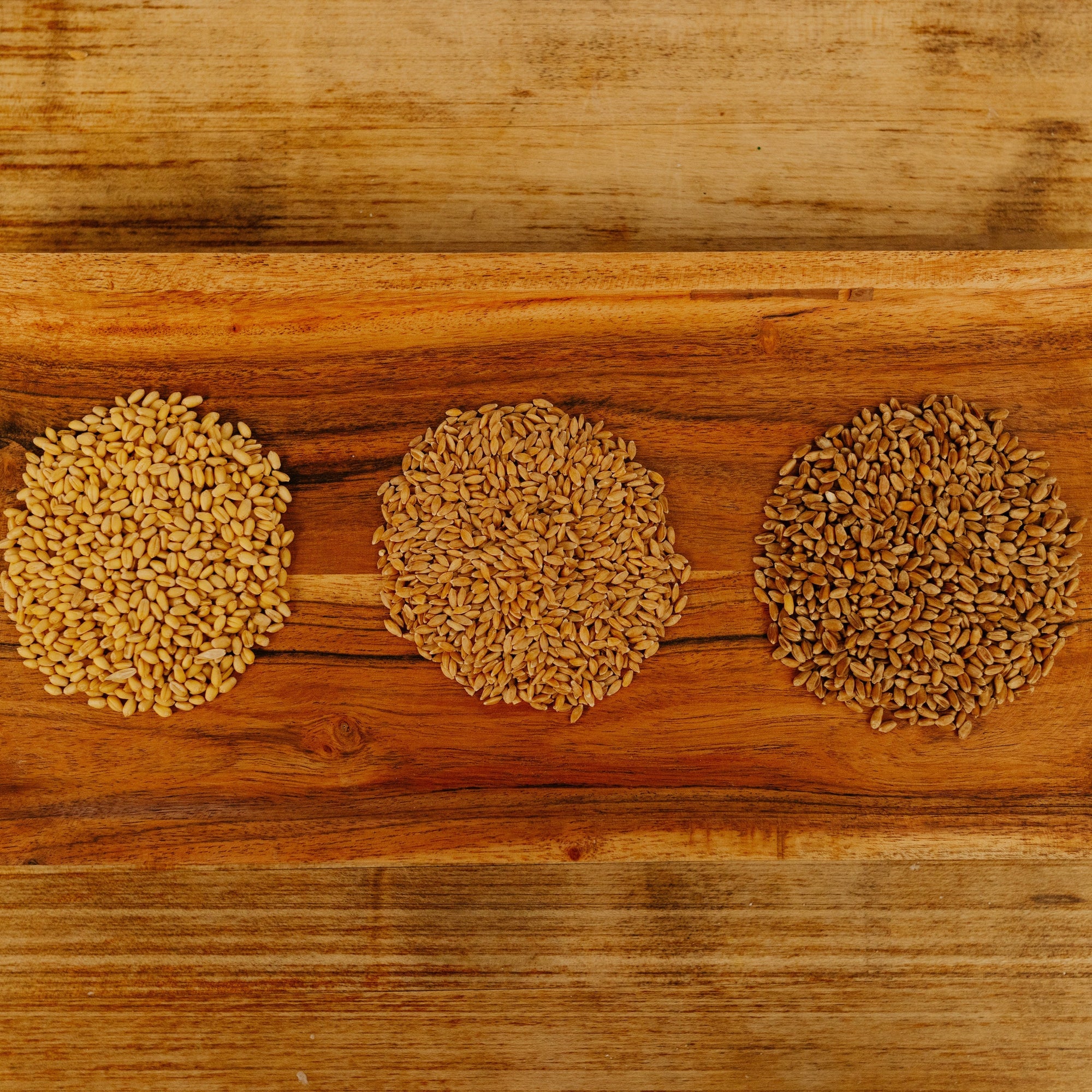What Are Ancient Grains? A Complete Guide to Heritage Wheat